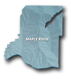 maple ridge
