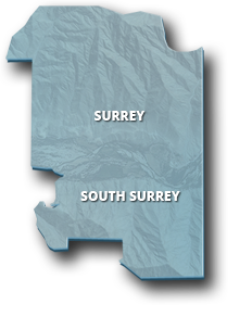 surrey
