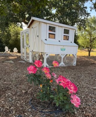 This May, Fresh Perspective Starts at Home 1