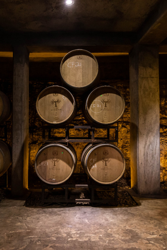 Barrels of wine
