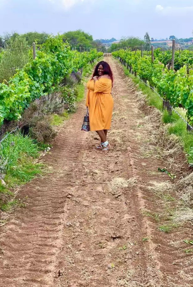 Mexican tequila tour