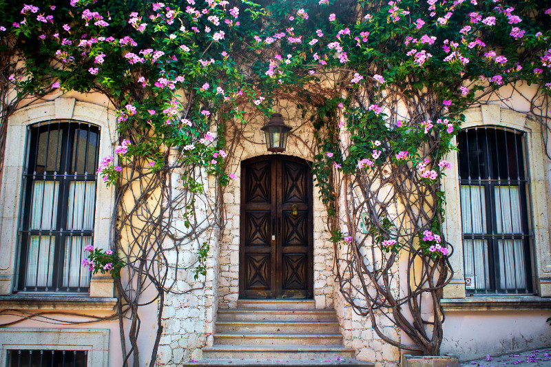 House front with flowers