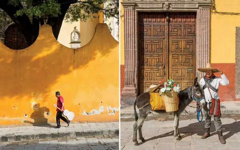musician and donkey