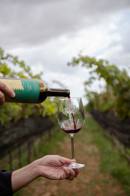 Wine