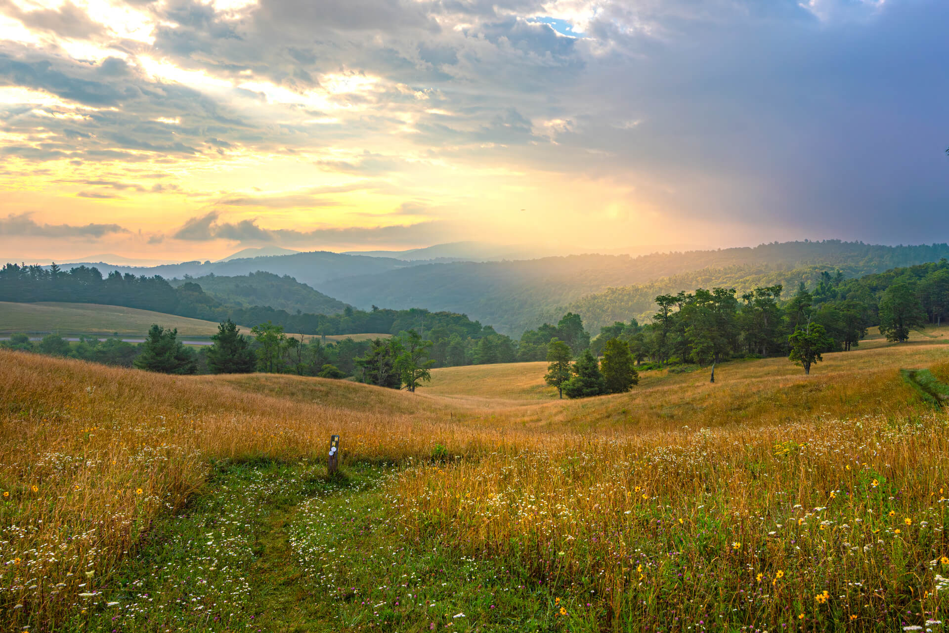 Mark Fields Real Estate