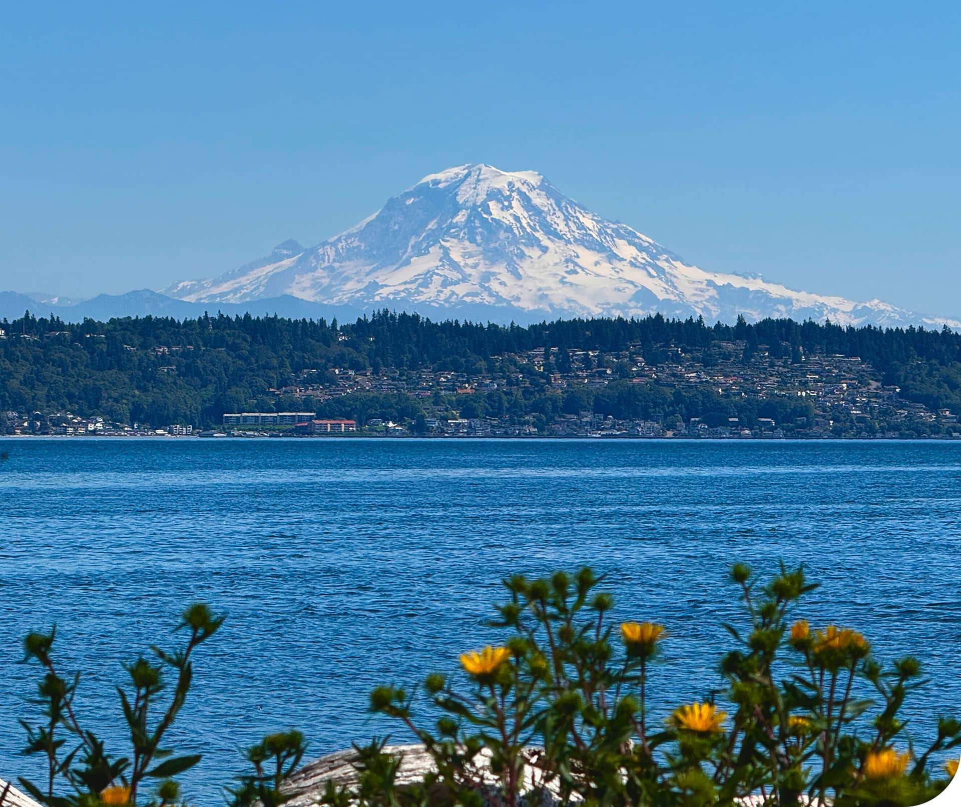 Offcanvas Image
