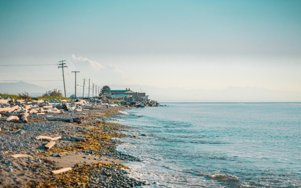 View Blog