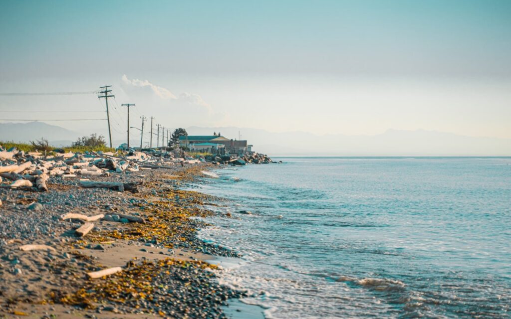 View Blog