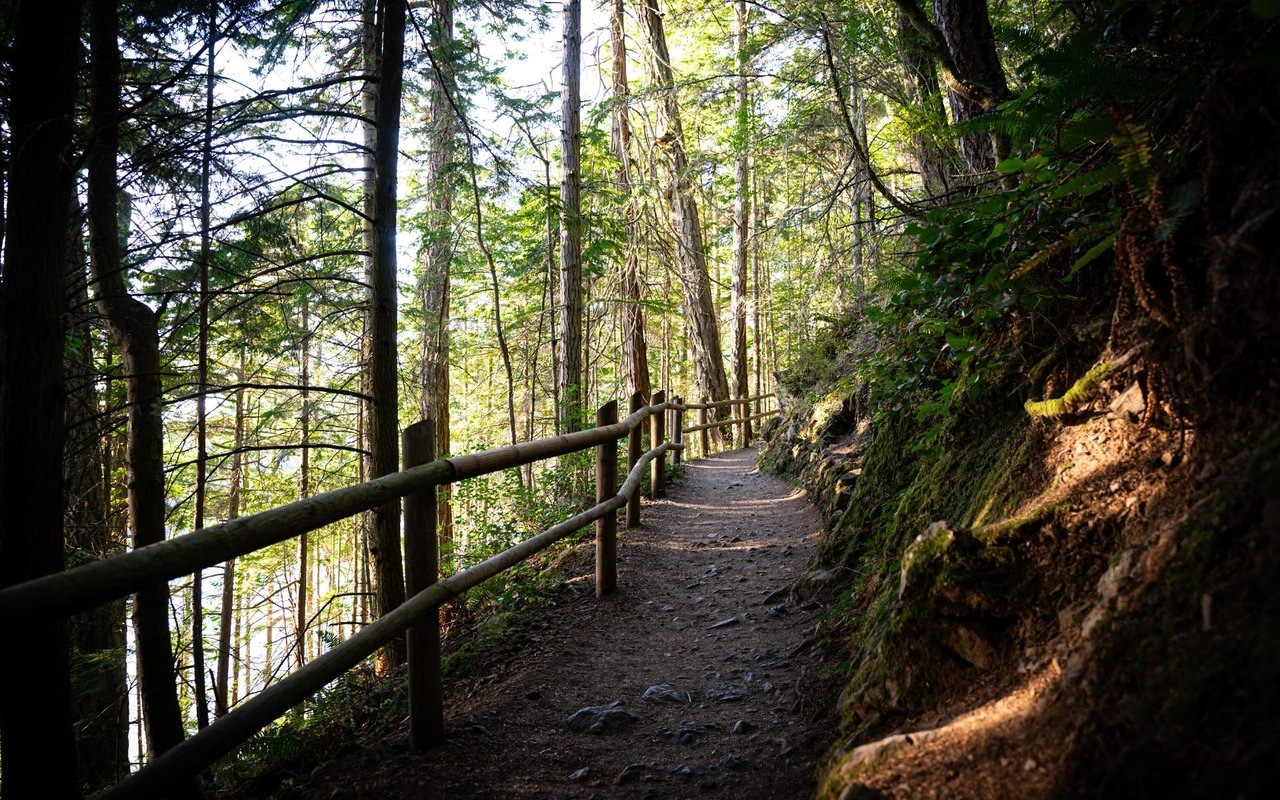 Everything You Need to Know About Moving to Whidbey Island, WA