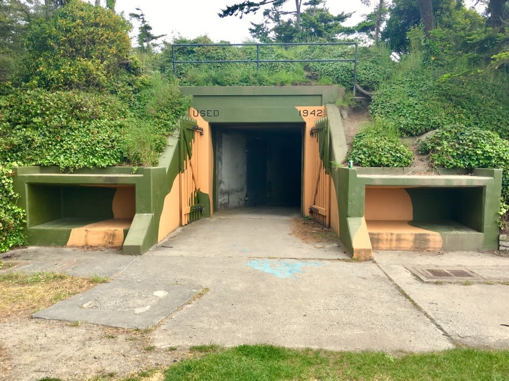 5 Family-Friendly Outdoor Activities in Whidbey Island