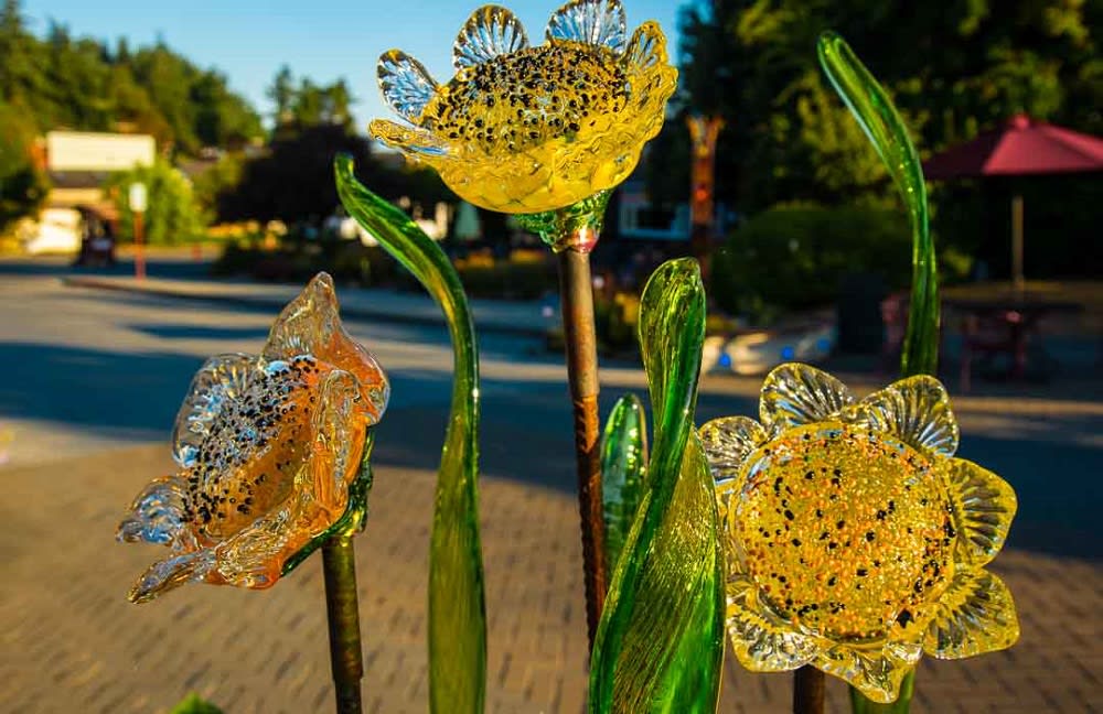 7 Can’t-Miss Events to Attend on Whidbey Island