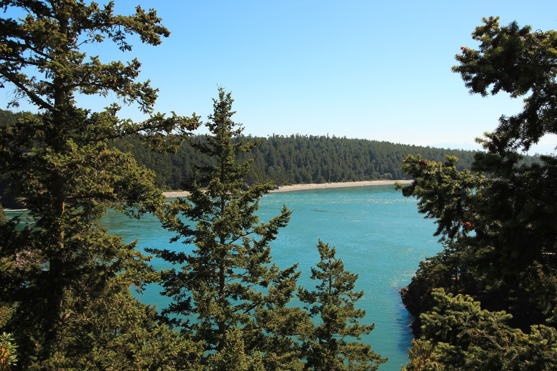 North Whidbey - NWMLS Test