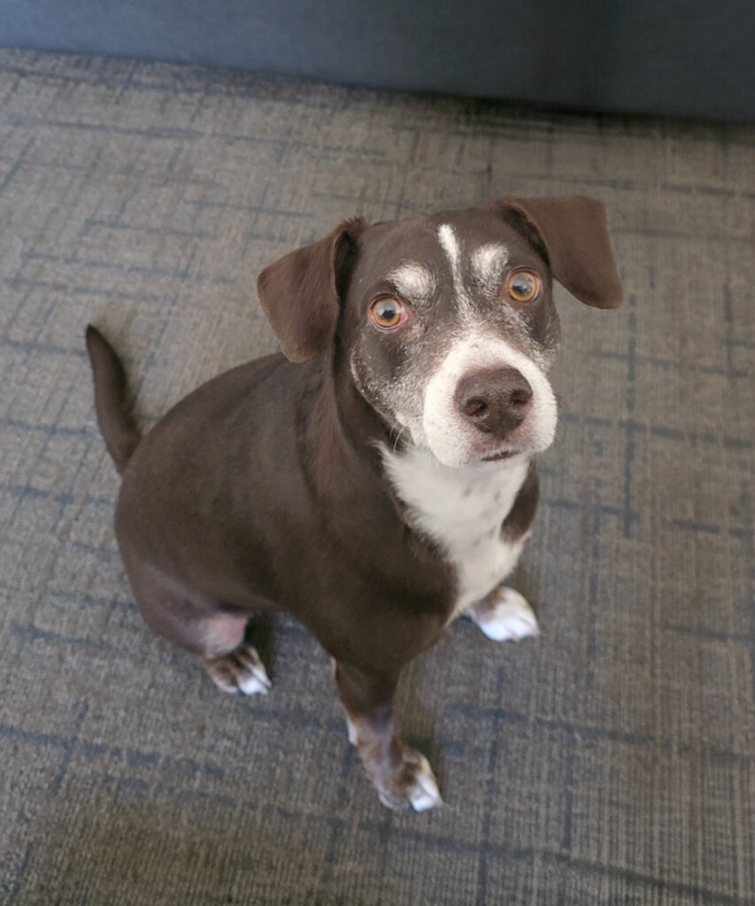 Benny