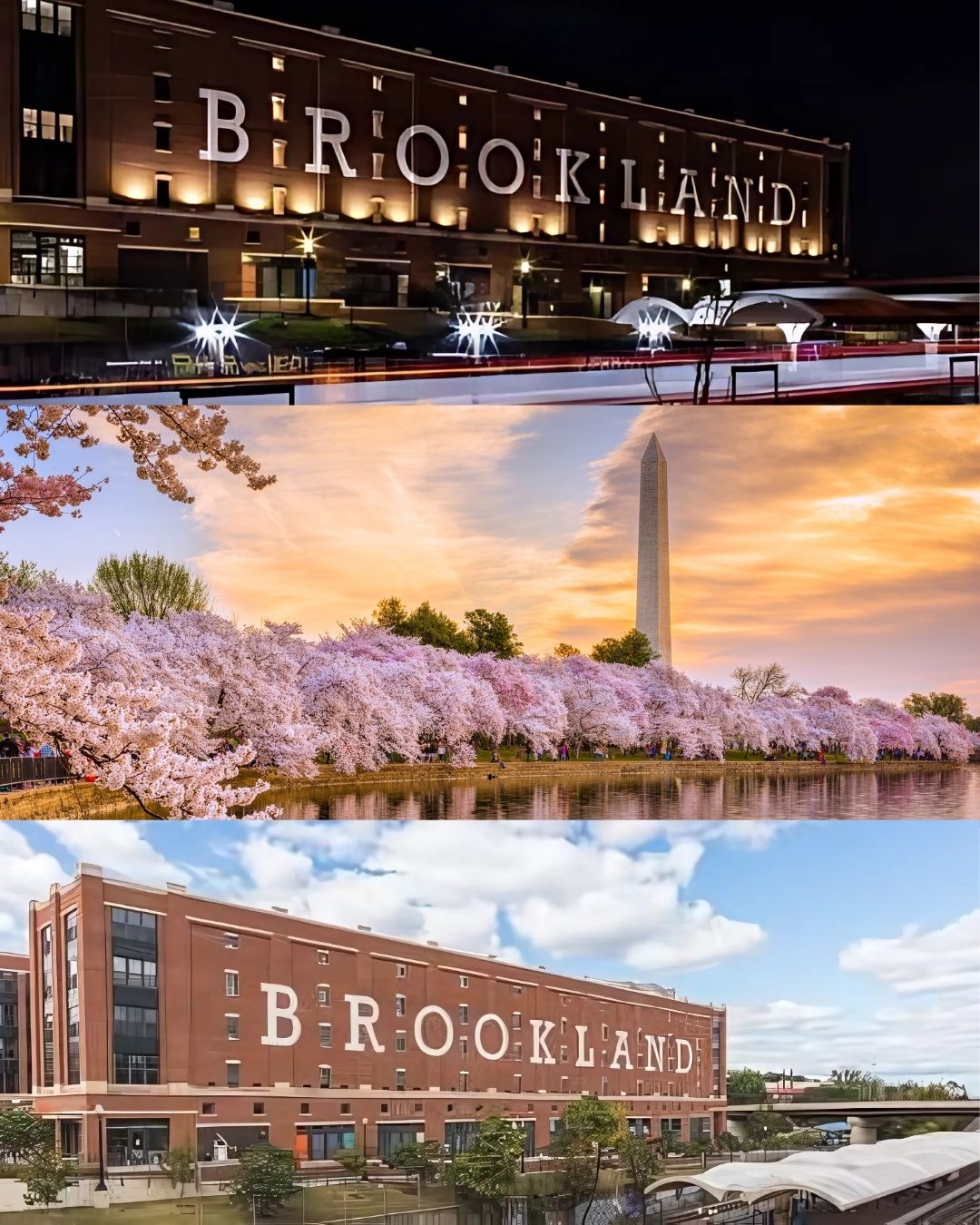 Thompson Premier Homes Group