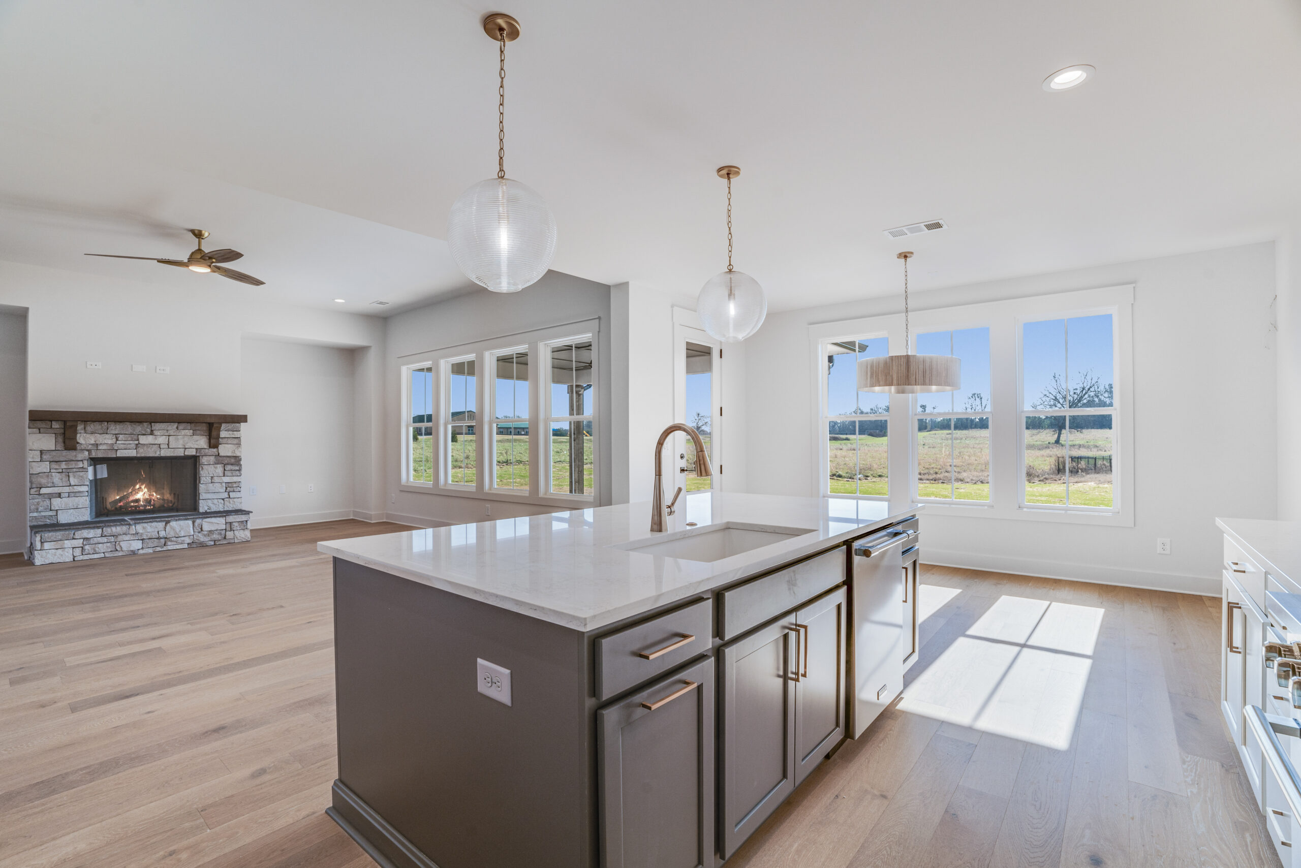 Living in the Paislee Park