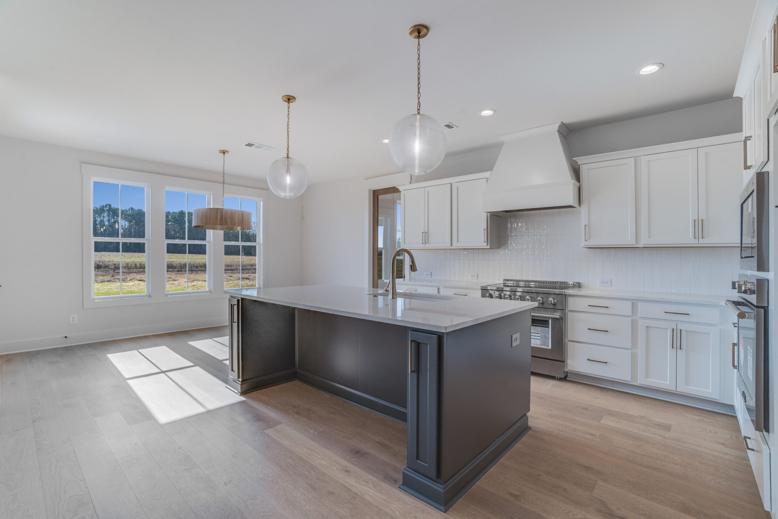 Living in the Paislee Park