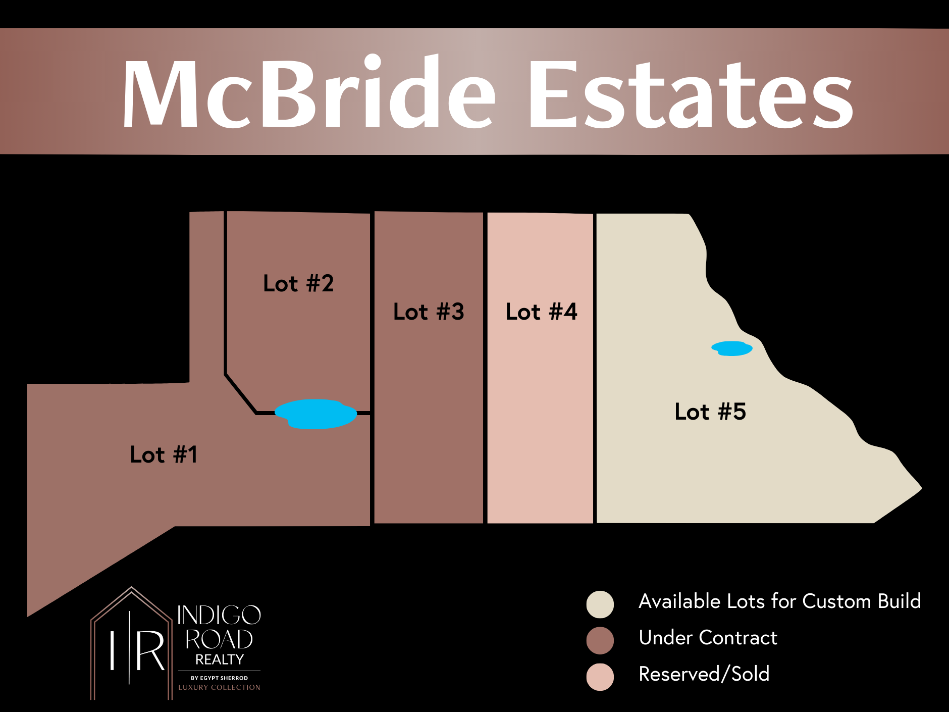 Houses for Sale in McBride Estates