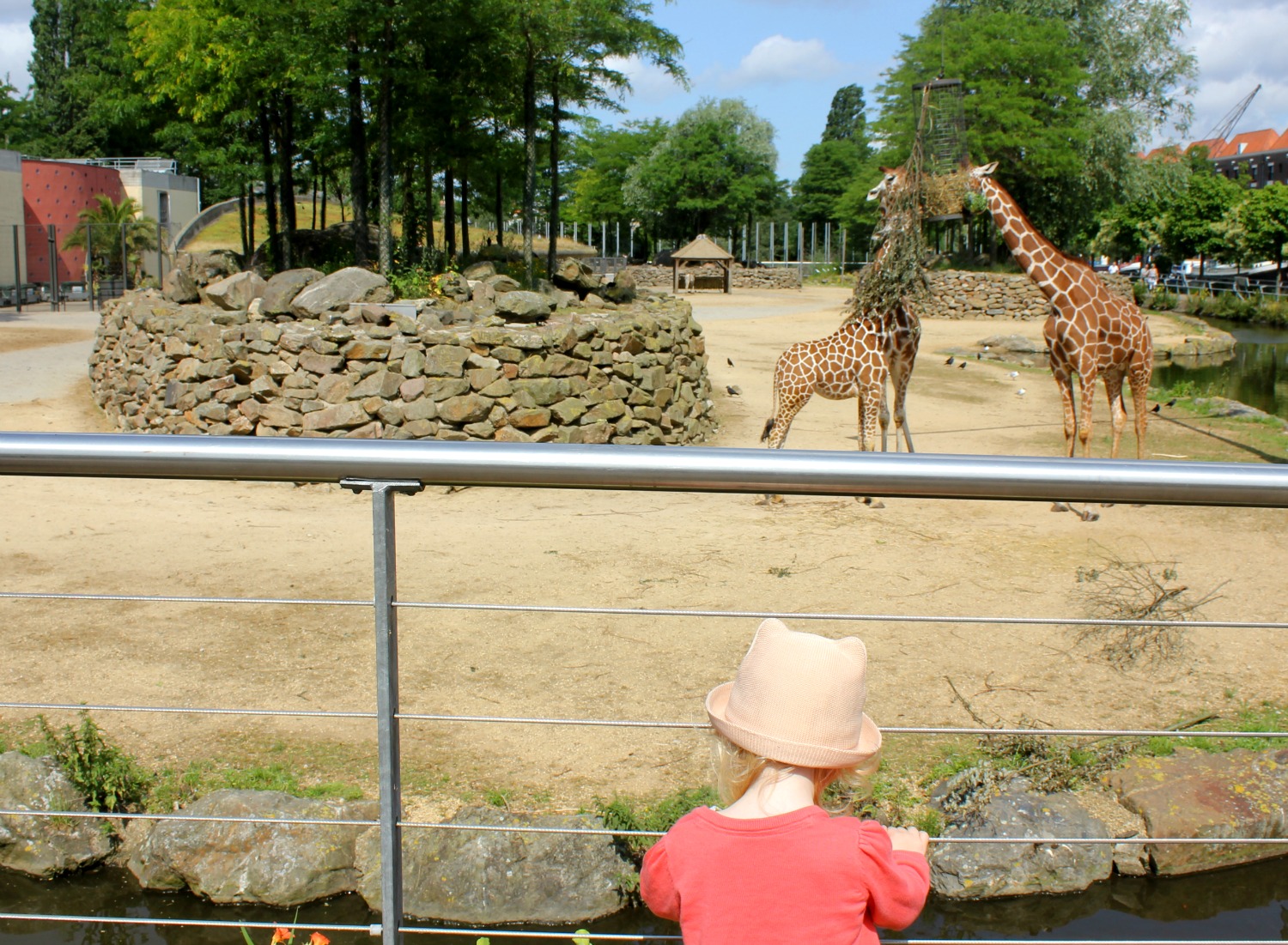 ARTIS Royal Zoo Amsterdam