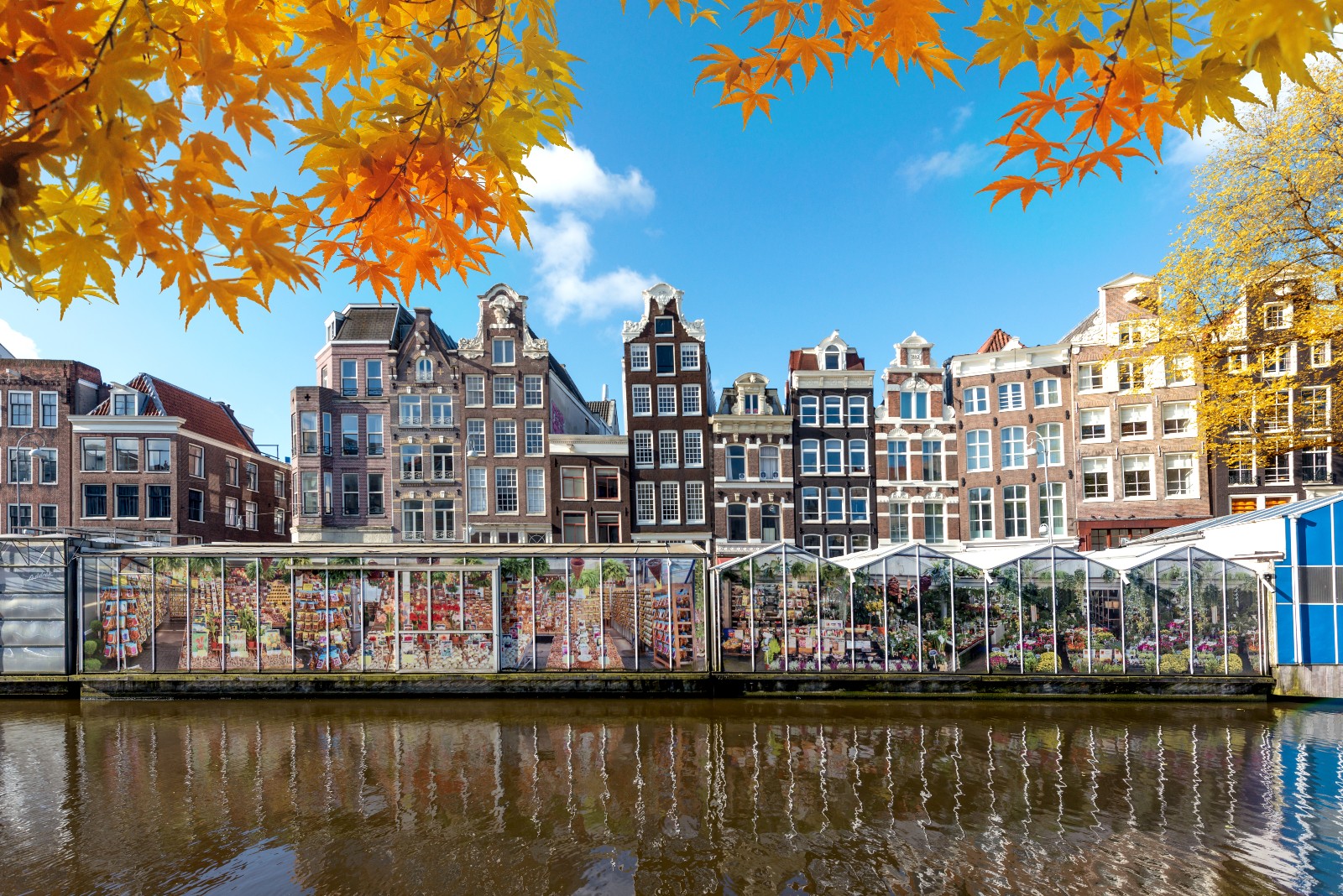 Bloemenmarkt Amsterdam