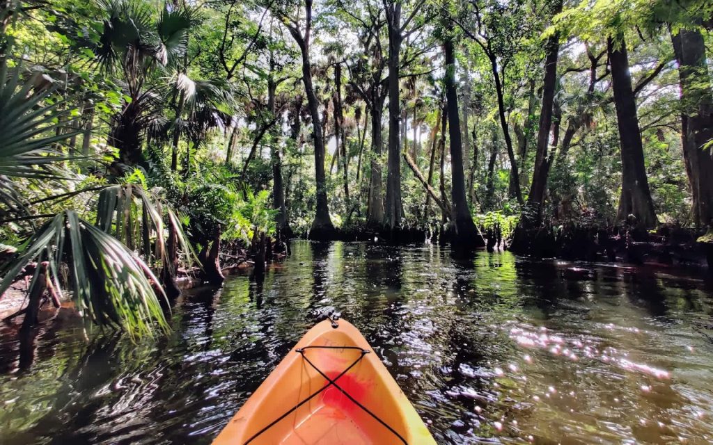 A Guide to Jupiter FL Parks