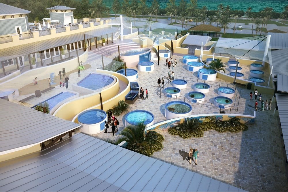 Family-Friendly Outdoor Activities in Jupiter