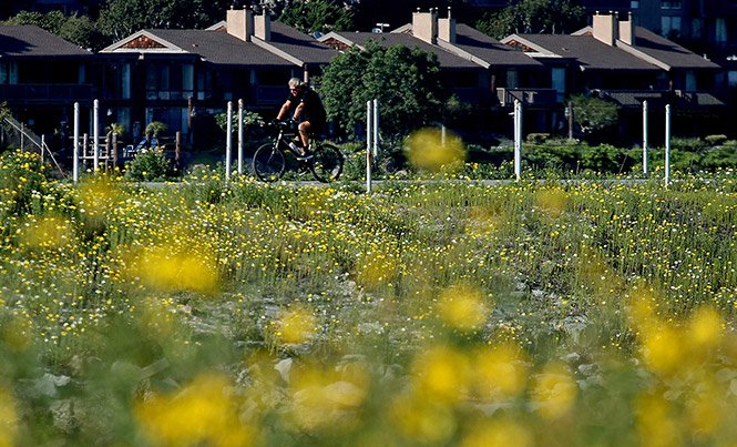 Neighborhood Spotlight: West Adams lures with its architecture, small-town vibe