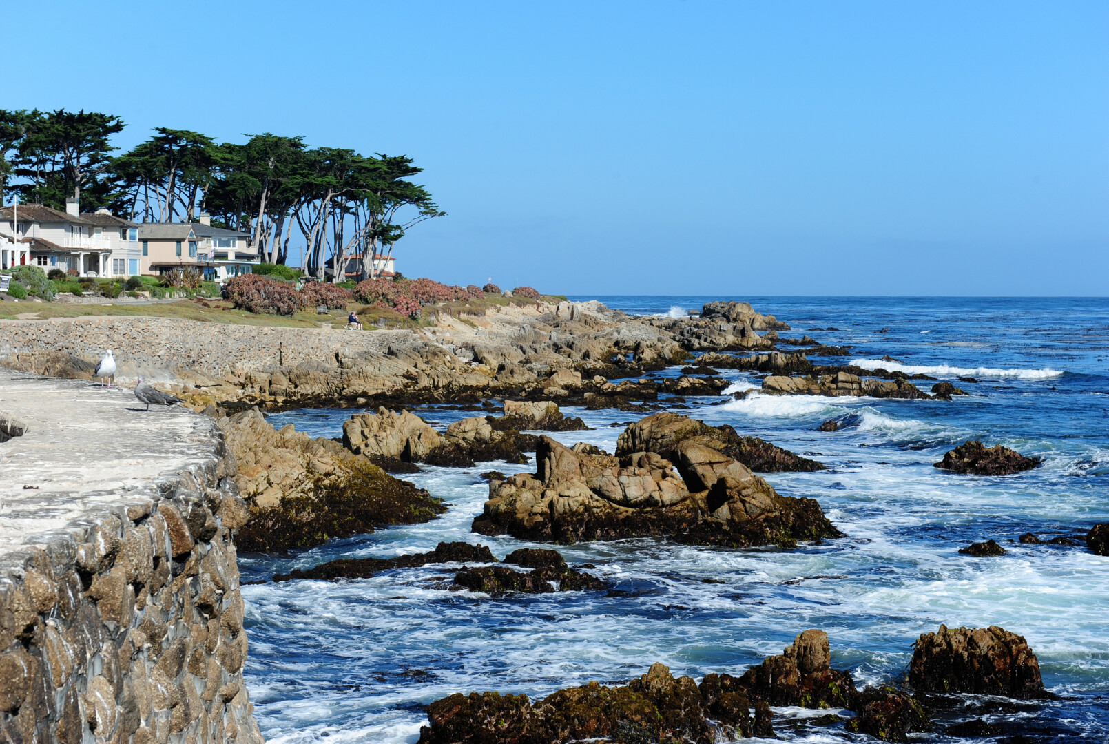 Pebble Beach