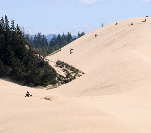 Dune City