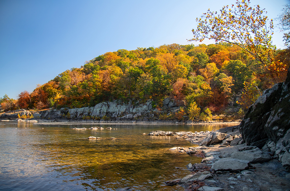 Great Falls, VA