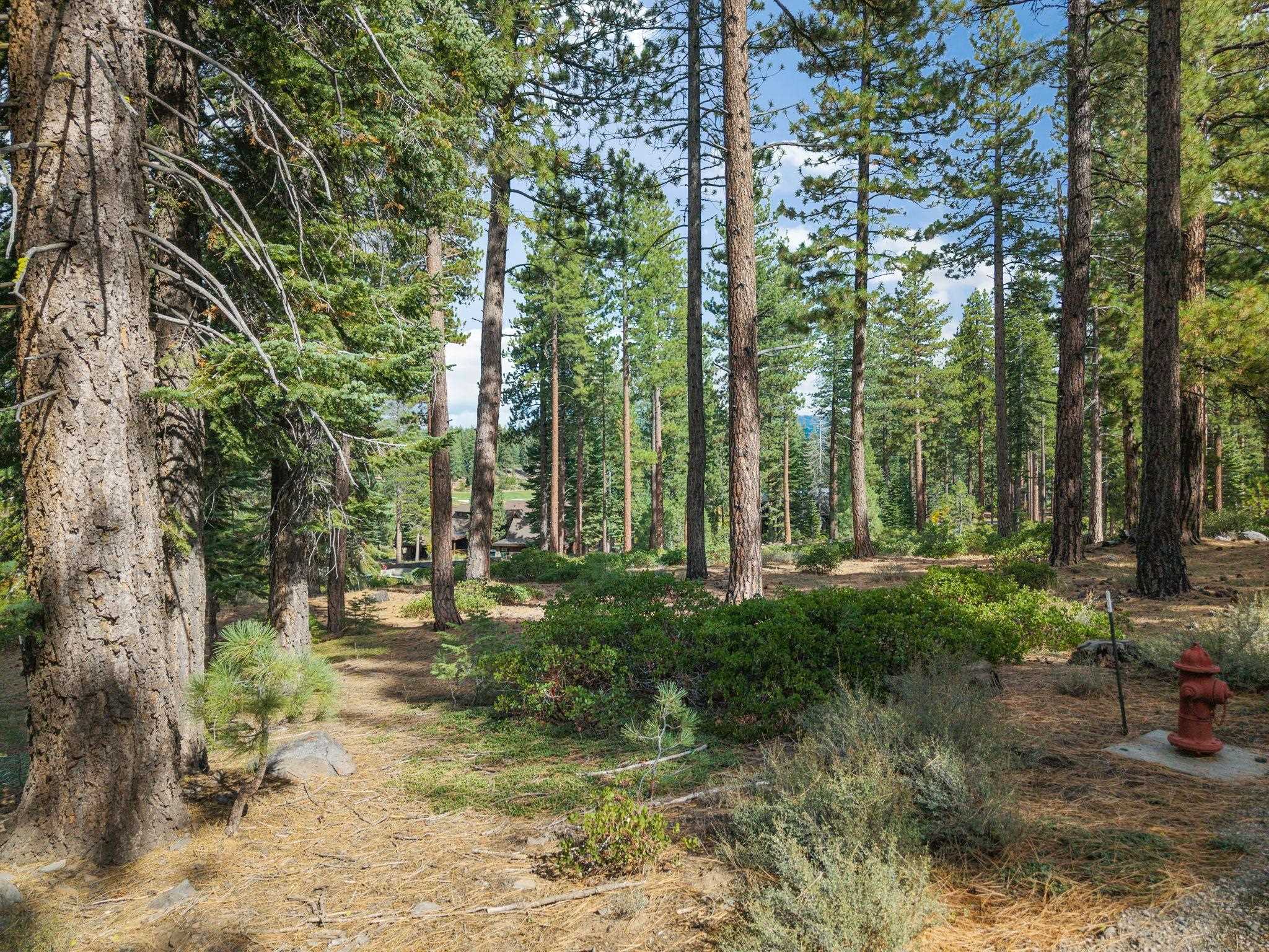 11317  Elle Ellen Truckee CA 96161