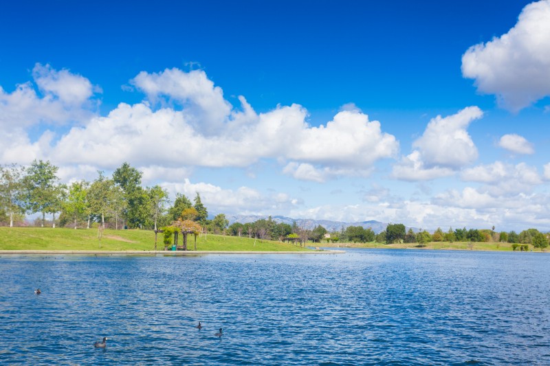 Encino’s Lake Balboa is a quiet escape minutes from home.