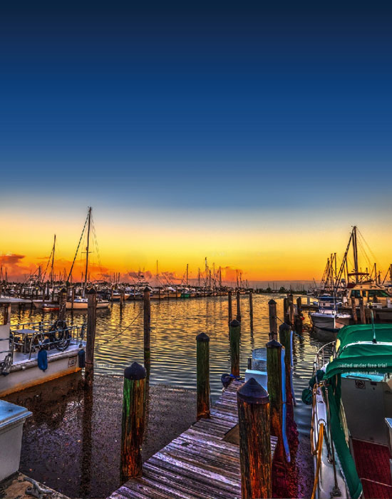 Coconut Grove