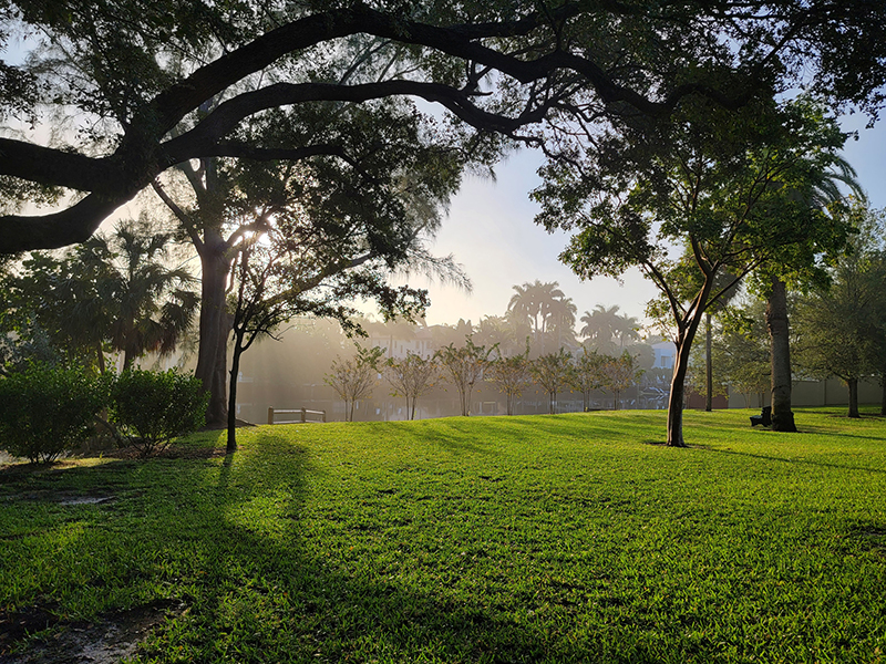 Serene Morning in Victoria Park