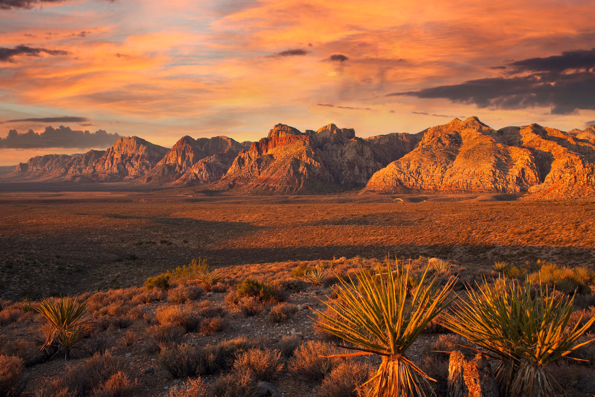 East_Las_Vegas