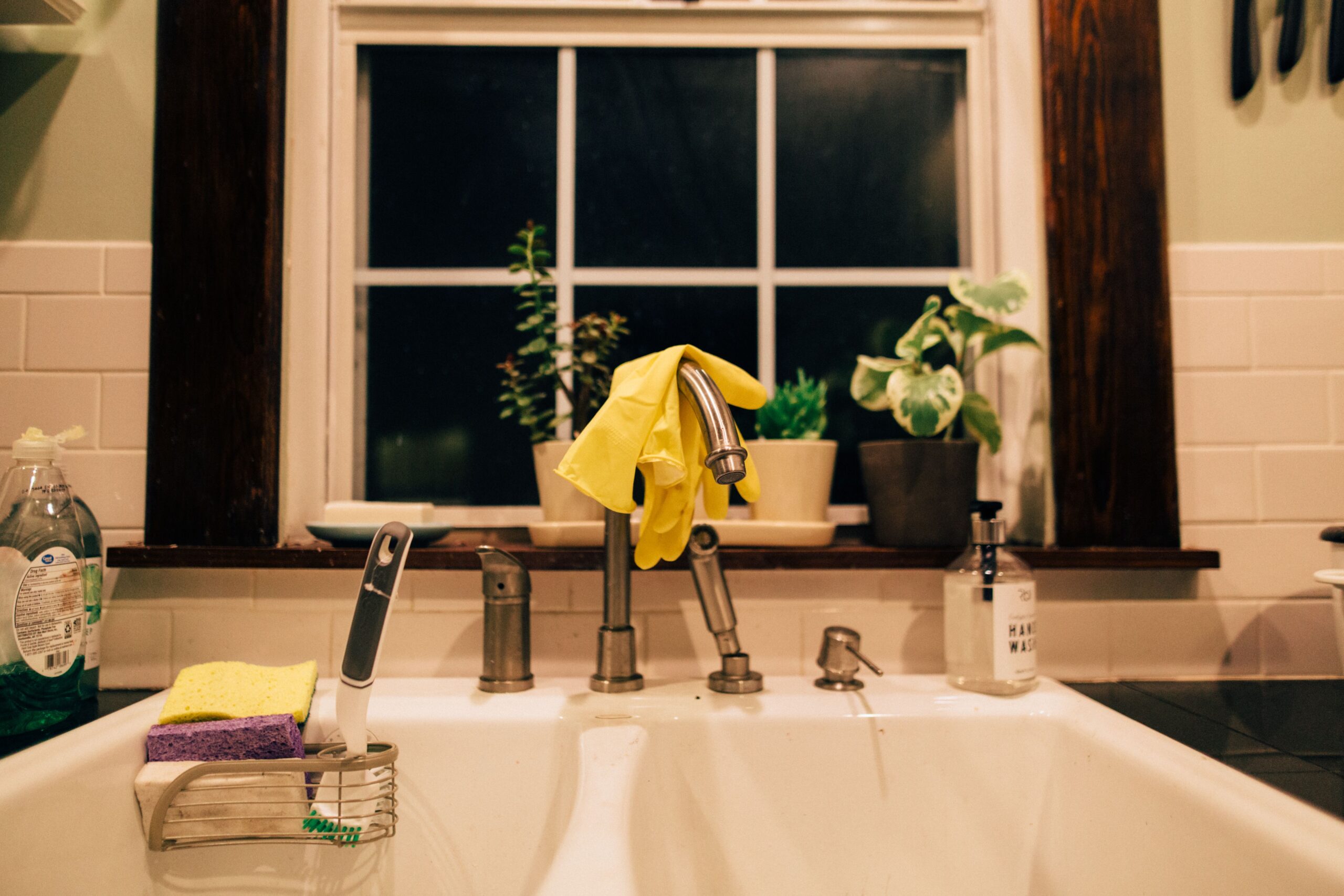 Natural, Non-Toxic Ways to Keep Your Las Vegas Home Clean and Pest-Free