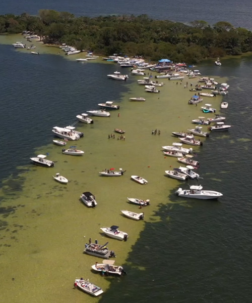 Blue Marlin Real Estate