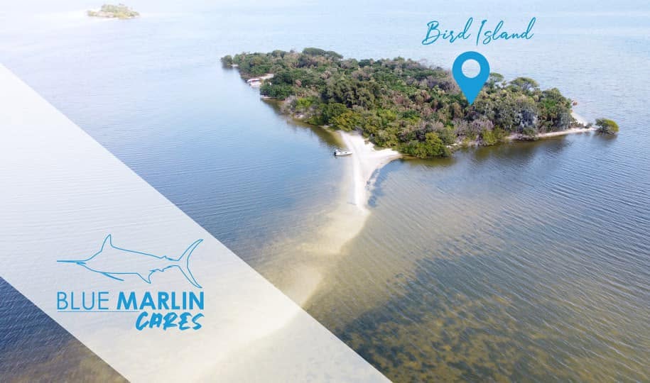 Blue Marlin Real Estate BMRE Cares adopted Bird Island Merritt Island barrier island in the Banana River
