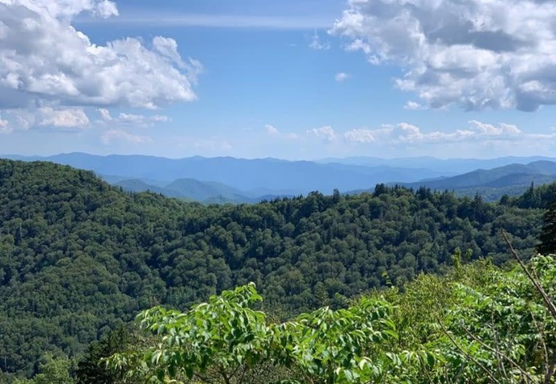 Wrights Mountain