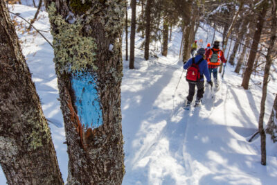 A trailmaker blaze on a tree guides snowshoers in the snowy woods of the Upper Valley