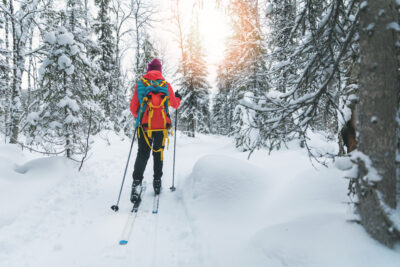 Cross Country Skiing in the Snowy Woods