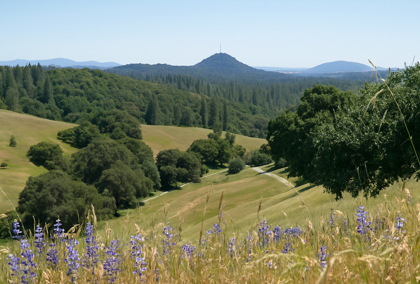 Amador County