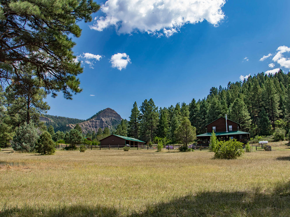 Aspen Springs
