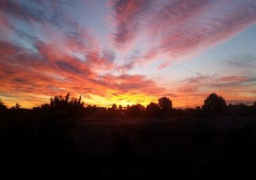 12629 Caswell Ave #15