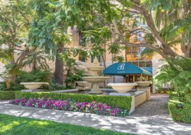 11500 San Vicente Blvd #315