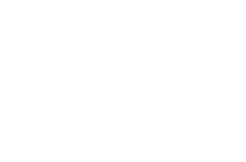 Denver Metro Realtor logo