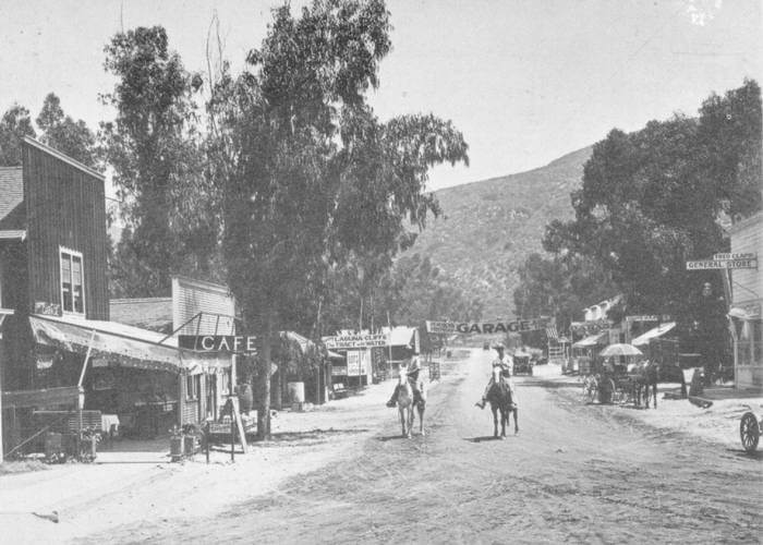 The history behind Forest Avenue’s trees