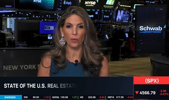 Video Image