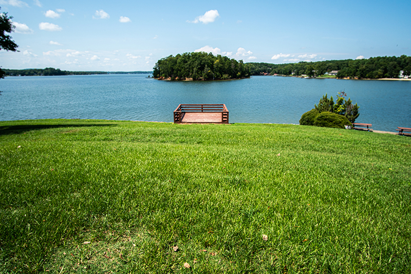 By the lake in the grass under the trees South Carolina