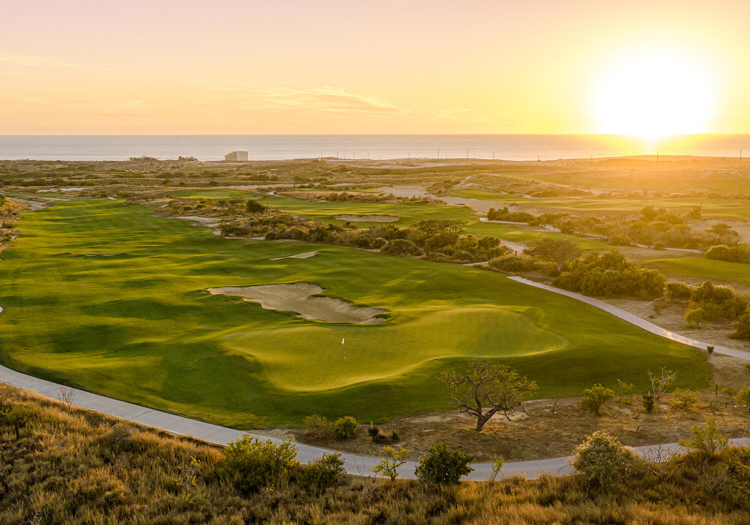 Cabo golf homes