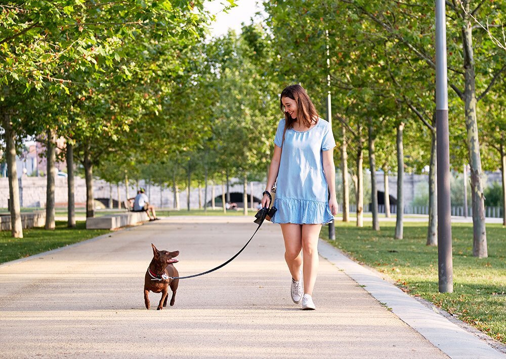 Park or any public open space